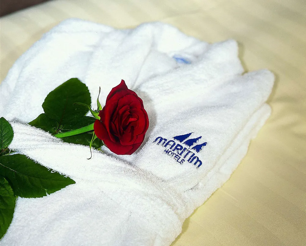 Maritim Hotel Dresde