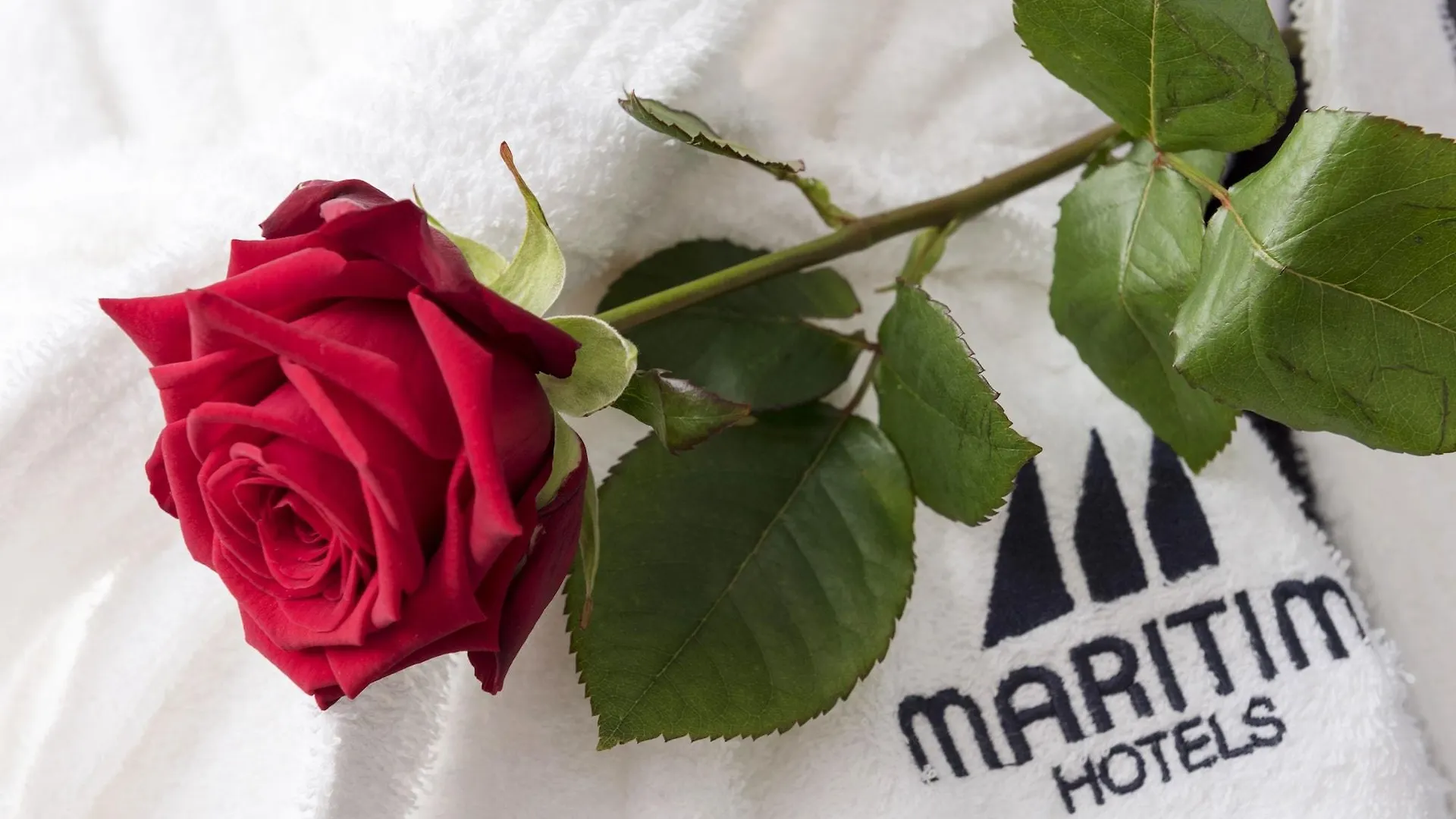 Maritim Hotel Dresda 4*,  Germania